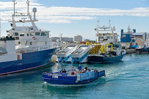 Bateau_bus